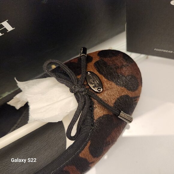 Coach "Lara Wildbeast" Print Flats. Haircalf. NIB. Size Various - Picture 2 of 12